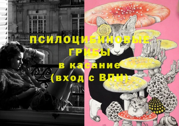 jwh Апатиты