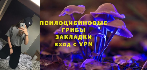 СК Анива