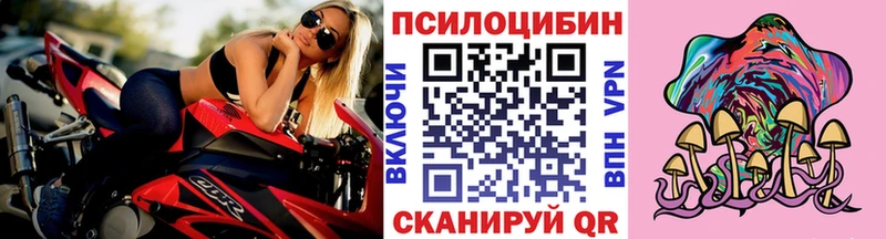 Псилоцибиновые грибы Cubensis  купить наркоту  Мещовск 